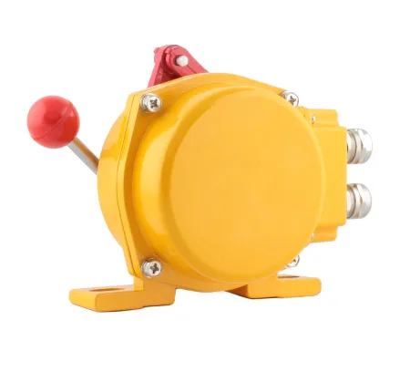 Датчик остановки конвейера в алюм. корпусе, -40...+75С, 250 VAC, 10 A, IP65, 2 релейных выхода