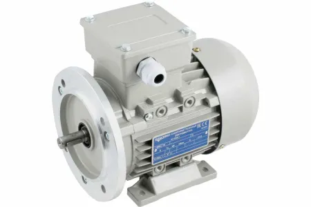 INNORED Электродвигатель трёхфазный асинхронный (0.55 кВт 1400об/мин) 200"19мм, на лапах, схема включения "звезда"/"треугольник" (380В/220В), IP55 RM80M1-4 B35